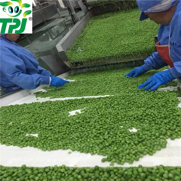 2023 Fresh Crops Frozen Vegetable Green Peas with Top-Noth Quality Factory Direct Supply