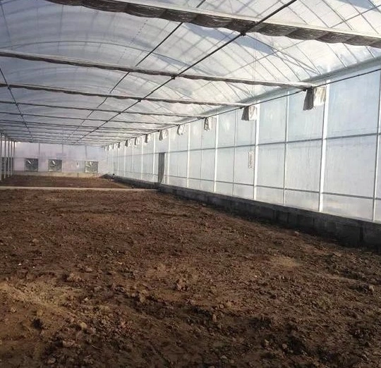 Modern Plastic Film Greenhouse with Steel Skeleton and Hot Drip Galvanized Bolt for Vegetables
