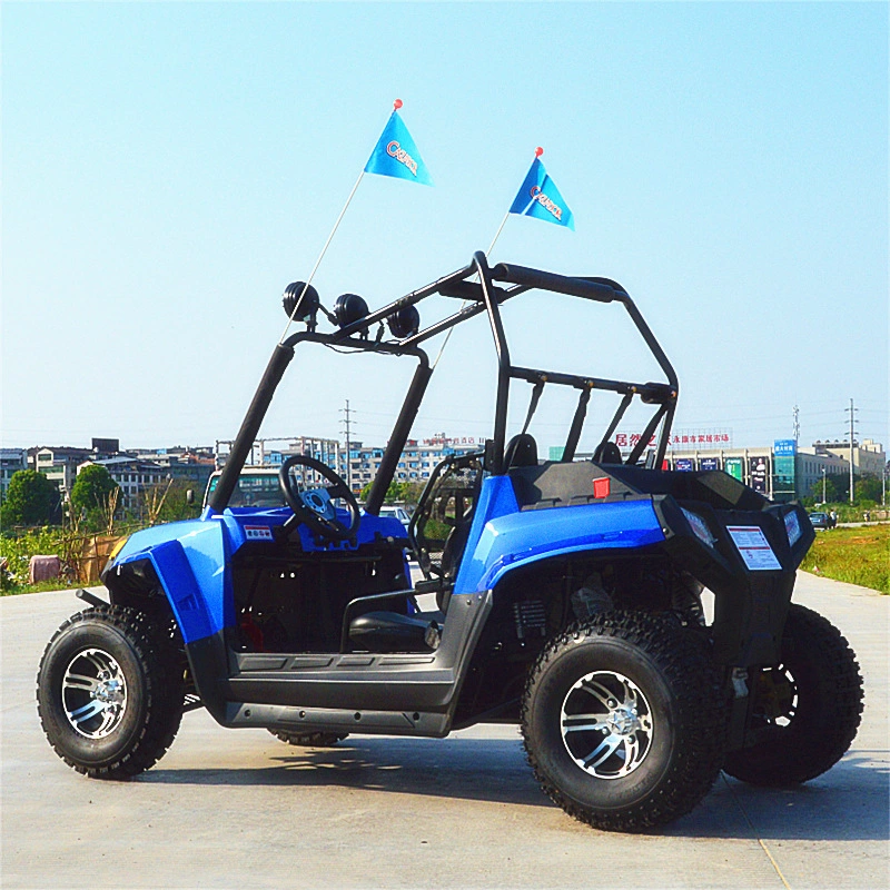 Electric UTV 4 plazas 2 plazas off road Side by Side