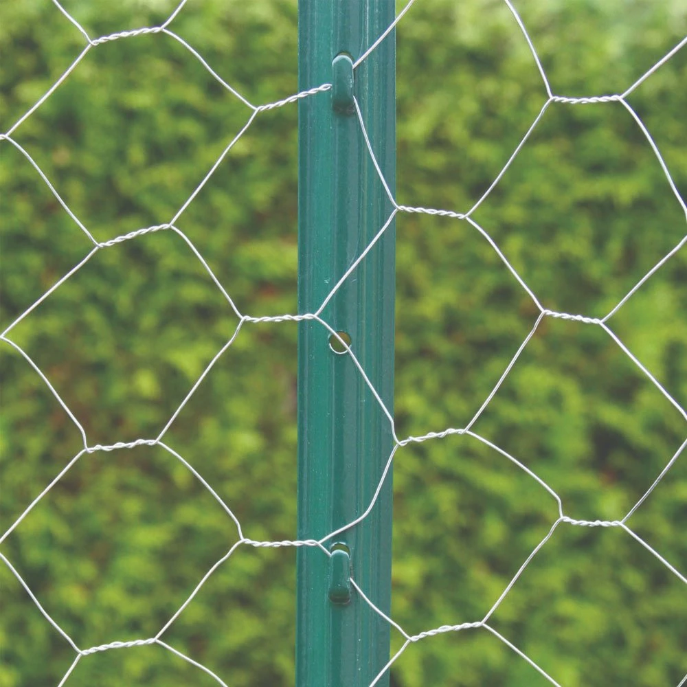 Factory Supply High quality/High cost performance  Chain Link Fence for Garden, Airport, Football