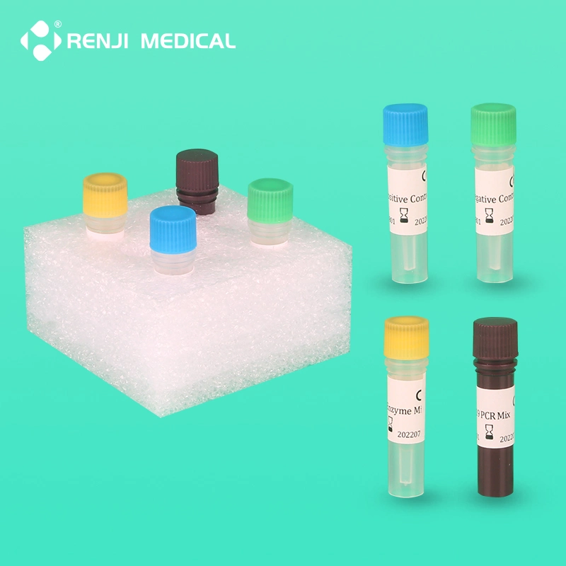 Arn ADN cuantitativa de Fluorescencia de RT-PCR en tiempo real de reactivo de prueba (ORF1ab, N) Gen para uso hospitalario con el marcado CE