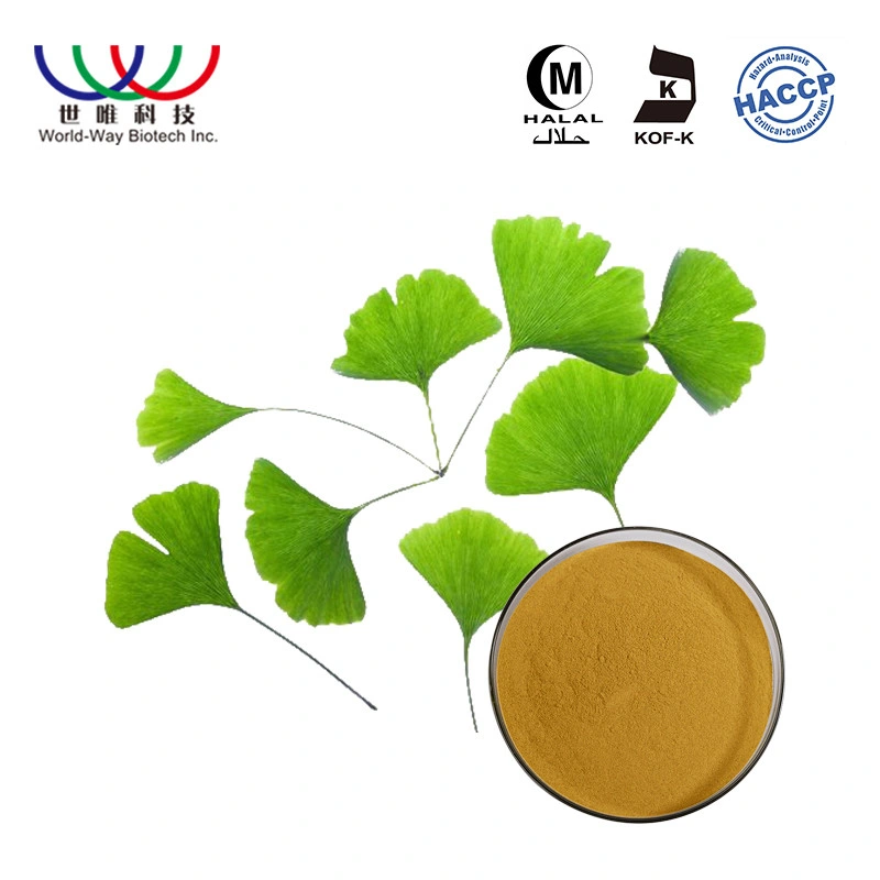 Factory Wholesale/Supplier Free Sample Natural 24%/6% Ginkgo Biloba Leaf Extract Powder