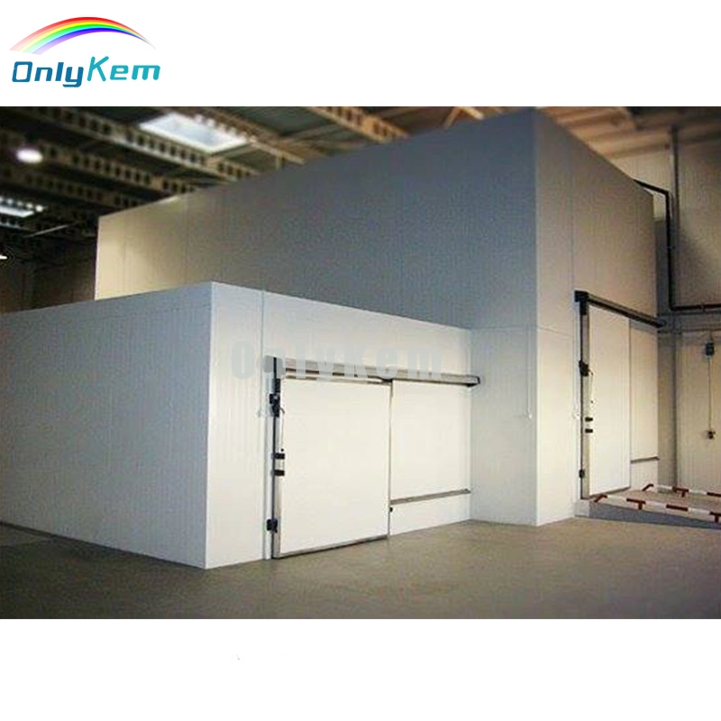 Cold Room Price for Fish with Air Cooled Condenser