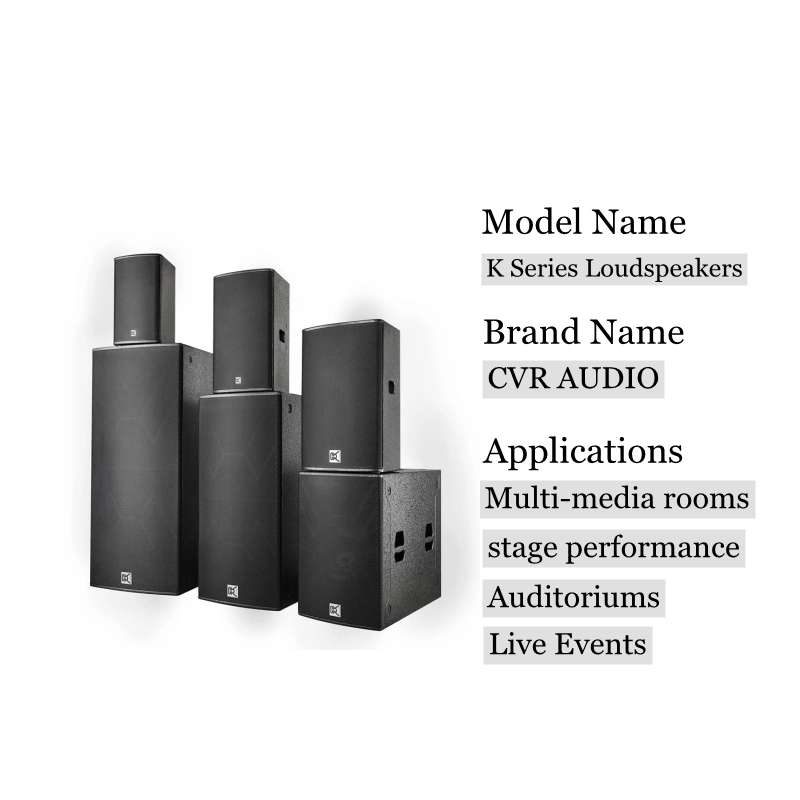 Professional Audio Loudspeakers 10 Inch Full Range Speaker