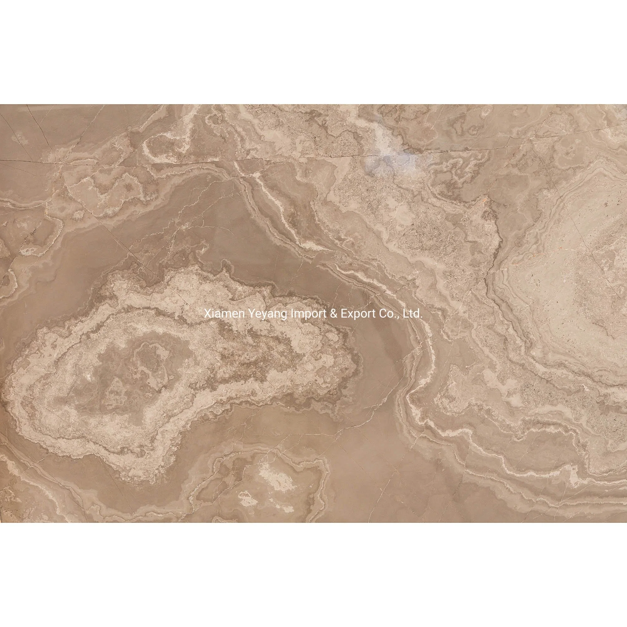 China Marble Wholesale/Supplier Brown/Black/White/Beige/Yellow Marble for Countertop/Vanity/Table Factory Discount