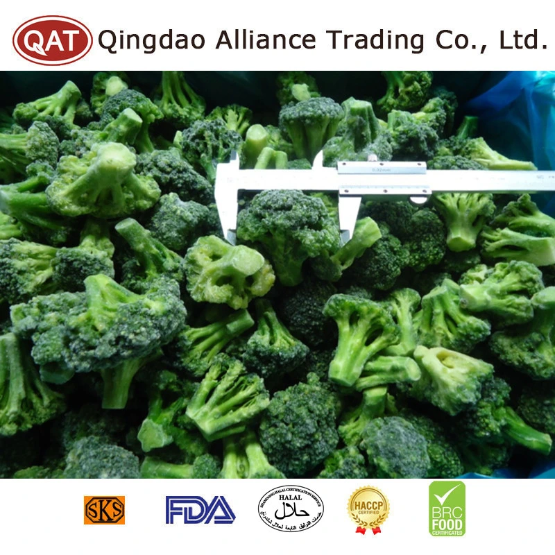 China Bio Frozen gehackte Broccoli Gemüse IQF Crop Green Broccoli Schnitt für Foodservice Großhändler