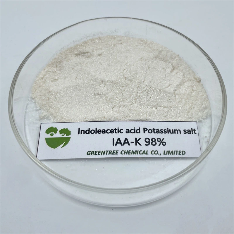 CAS 2338-19-4 Regulador de la planta de Auxin ácido Indoleacético SAL de potasio IAA-K 98%