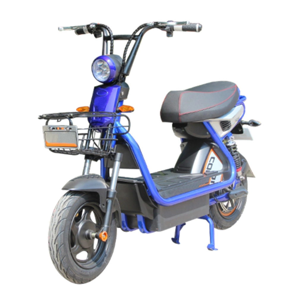 2021 New Model Electric Vehicle Dirt Bike with Pedal