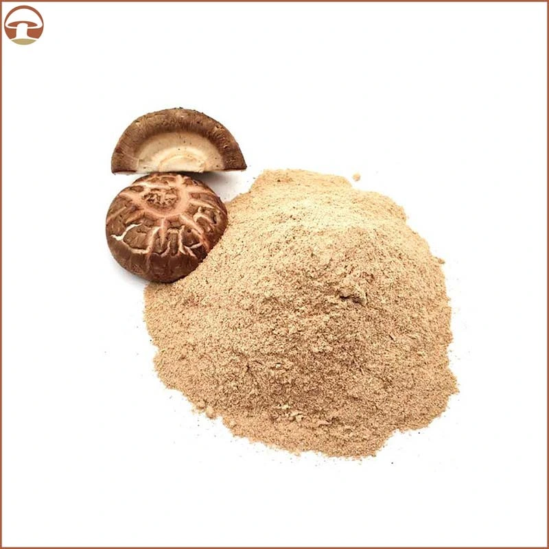 Organic Shiitake Mushroom Plant Extract Reishi Herbal Powdercordyceps Mushroom Lion&prime; S Mane Mushroom Blend