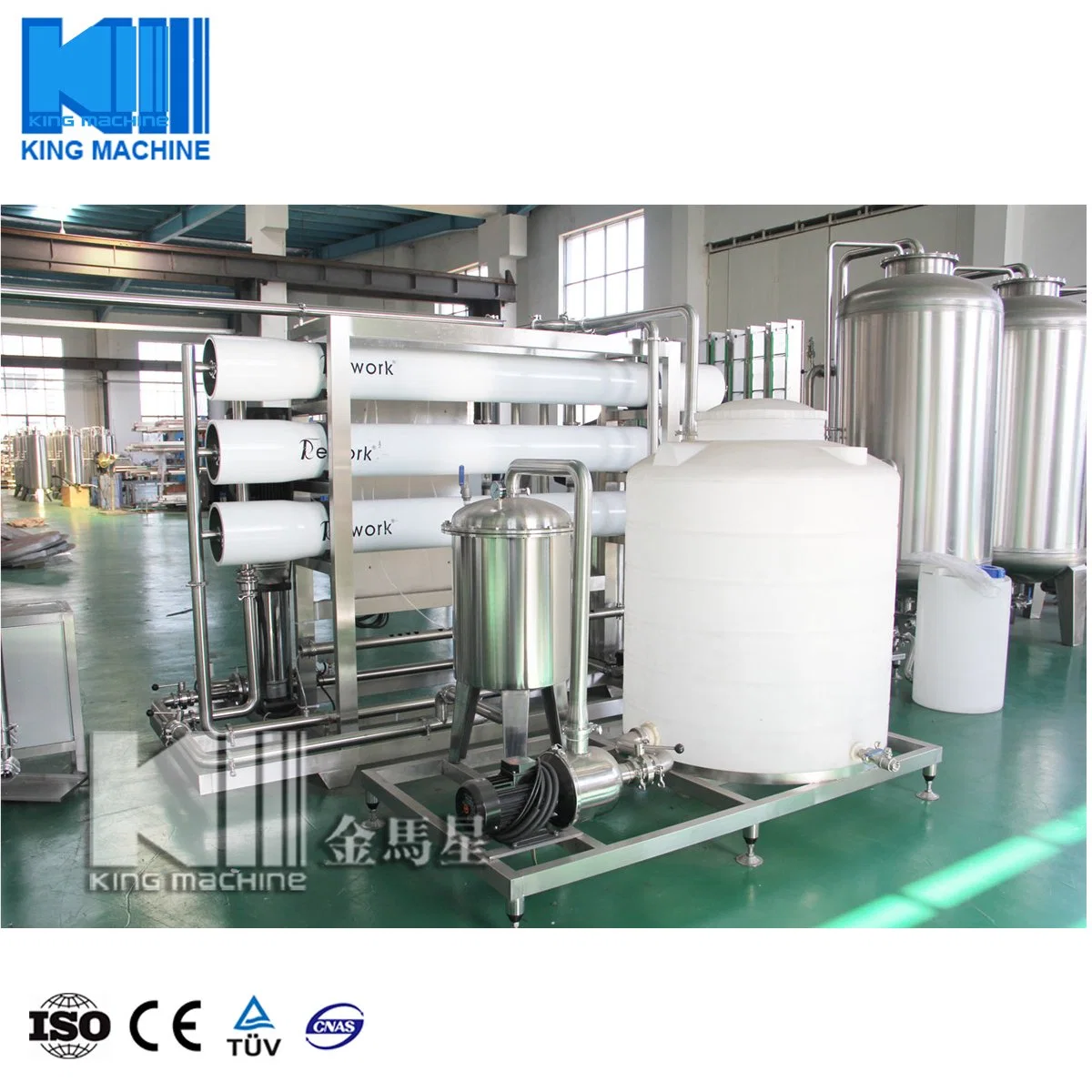 30t Drinking Water Treatment System with RO System