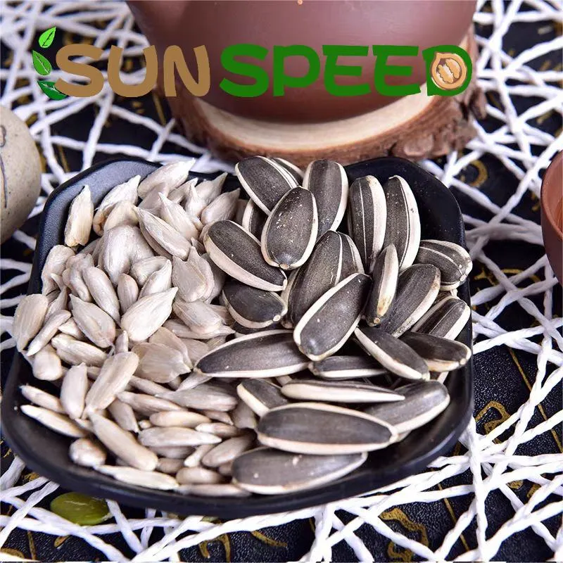 T6/T5 Inner Monglia Big Size 180-190/170-180 Sunflower Seeds Inshell