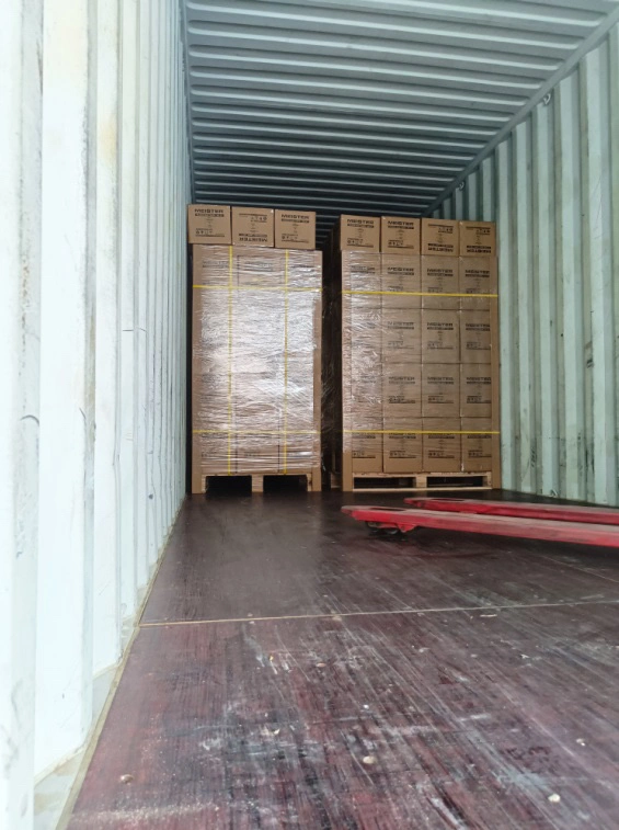 China Freight Logistics Shipping Service