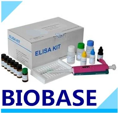 Biobase Clinical Elisa Kits T3 T4 Hormone Rapid Test Kits and Reagents