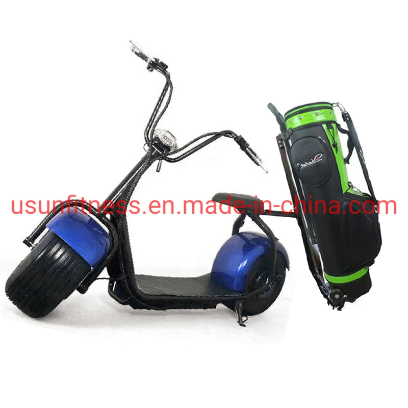 Golf Club Hot Sales 2 Wheels Electric Cars in High Performance Golf Electric Scooter City Coco Fat Tire Tricycle Motorcycle Cargo Scooters for Golf Course