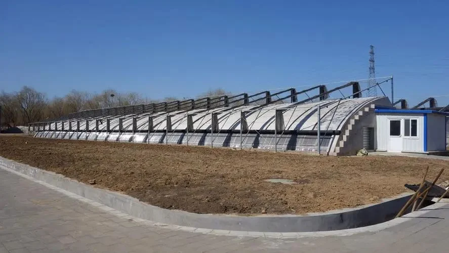 Moderne Landwirtschaft maßgeschneiderte Oval Tube Gewächshaus mit Hydroponics System Bewässerung System für Gemüse Obst Blumen Tomate