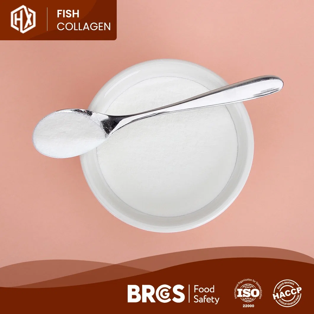 Haoxiang Anti-Aging Fish Collagen Cheap Price Skin Care Tilapia Scale Collagen Peptides Top Grade Cosmetic Grade Freely Provided Sample China Cosmetic Peptide