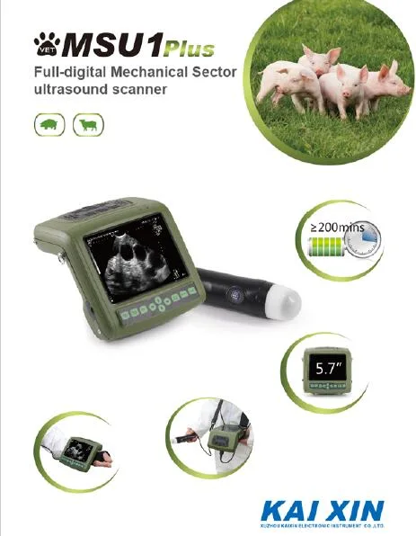 Farm Equipment Ultrasound Scanner Swine, Goat Pregnancy Test Instrument