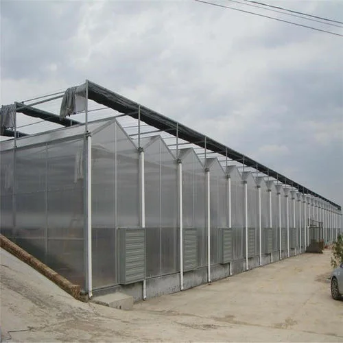 Plastic Sheet Multi-Span Agricultural Greenhouses Hydroponic Systems Commercial Garden Greenhouse