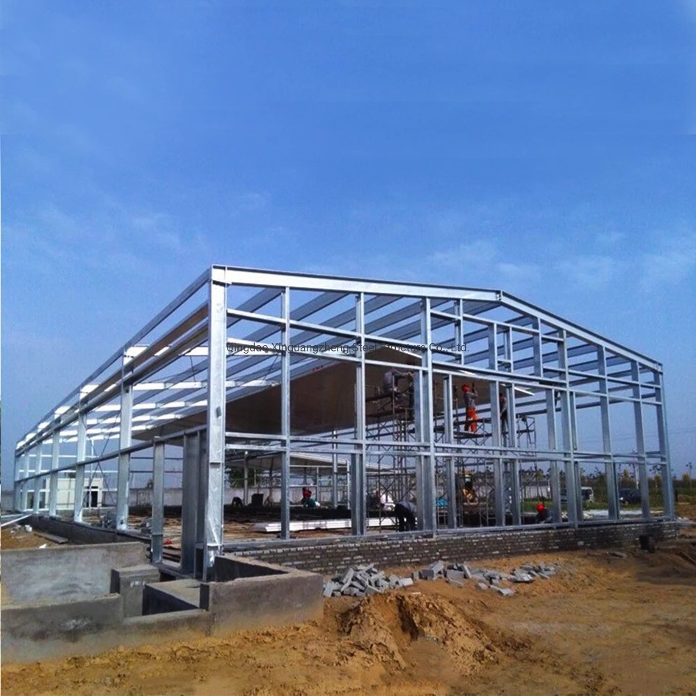 Factory Supply Automatic Prefab Steel Structure Animal House Poultry Farms Construction