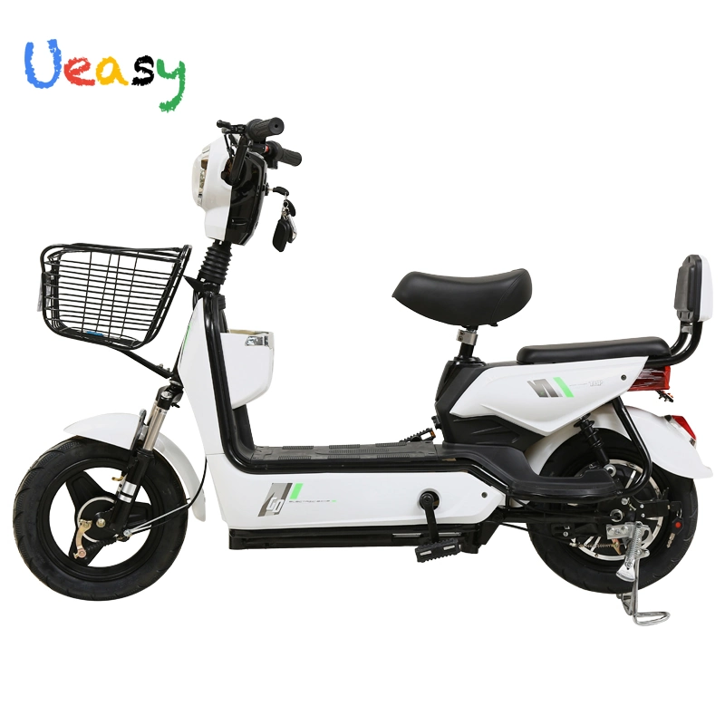 Nouveau électrique 350W 48V12ah Dirt Bike Electric acheter vélo électrique prix bon marché