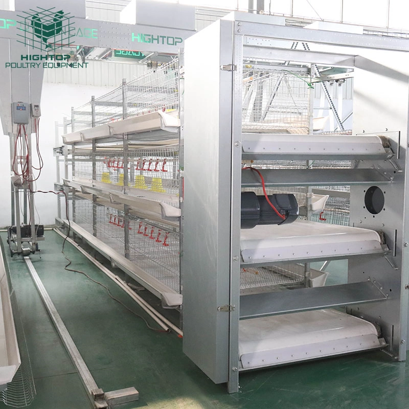 3 Tier H Type Battery Feeding Automatic Broiler Chicken Cage