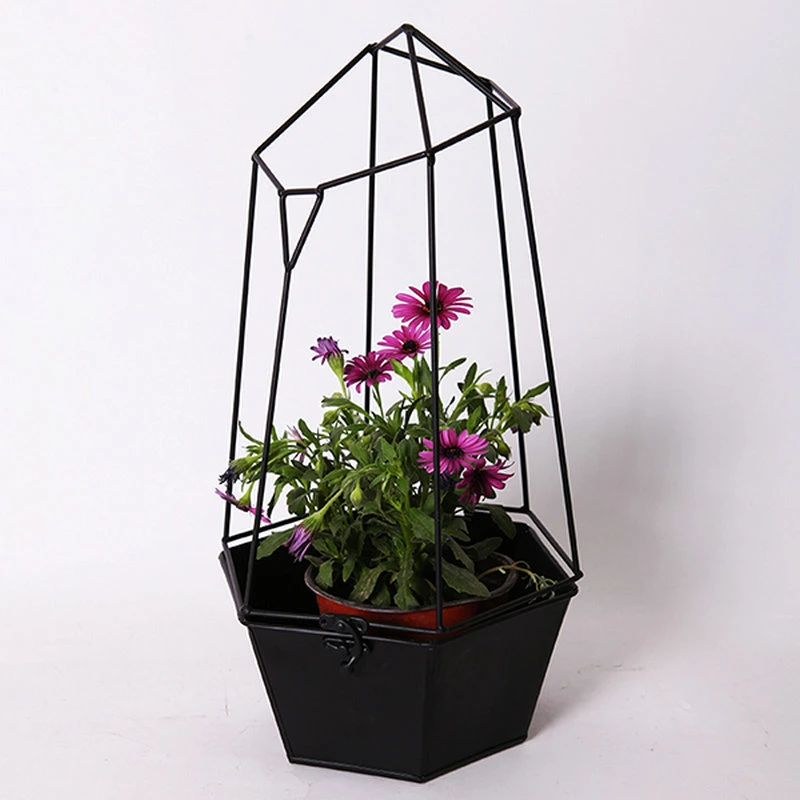 Iron Pot for Home Deco and Flowers