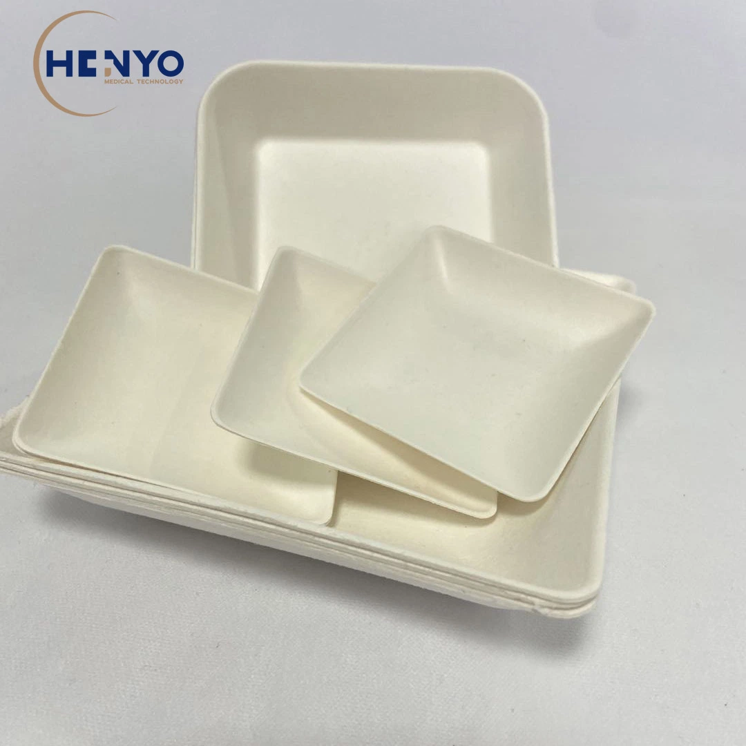 130*120 Disposable Biodegradable Bagasse Food Container for Party Supplies