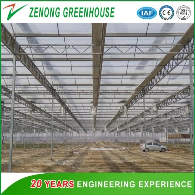 Agriculture Poly Carbonate Greenhouse Hydroponics System