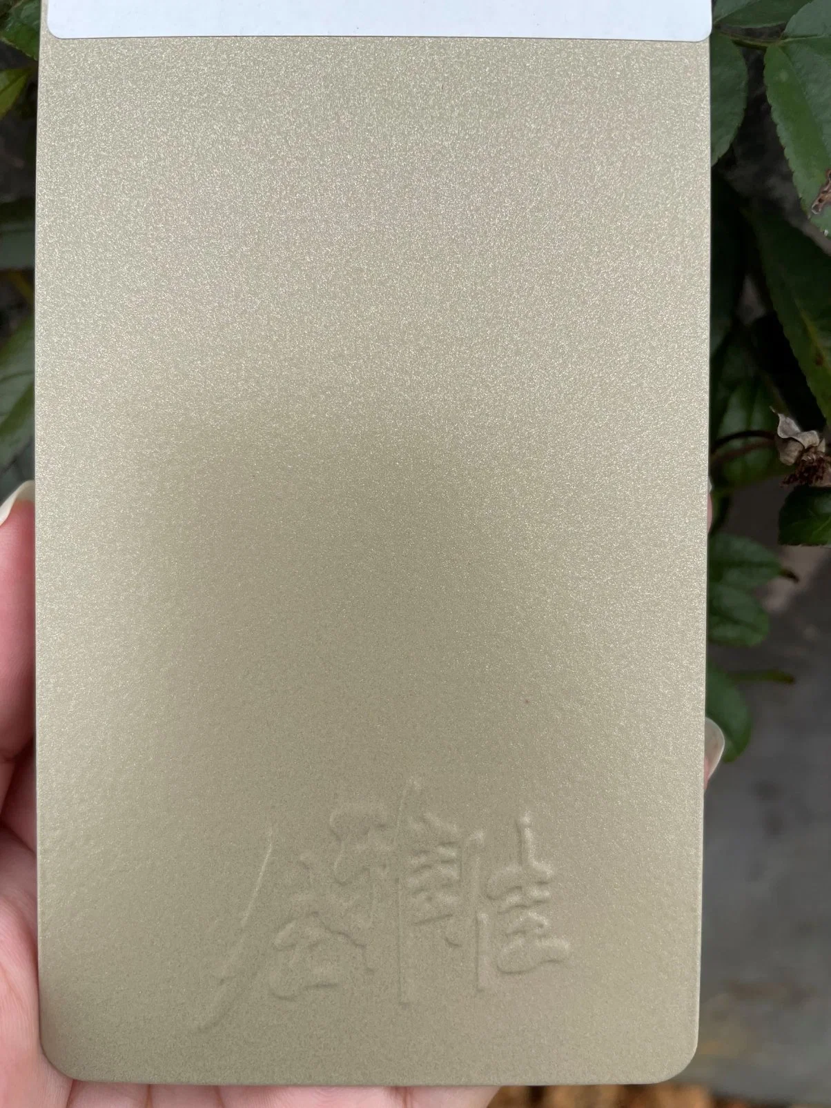 Heat Resistant Spray Paint Outdoor High Temperature Resistant Paint Powder Coating