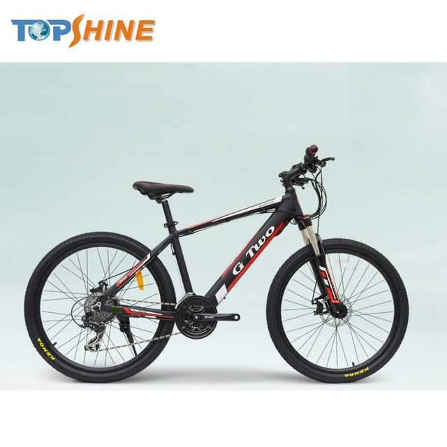 New Style Hidden Lithium Power Battery Electric Bike with GPS Tracker Stereo Speaker