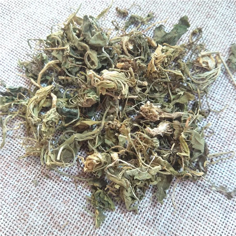 Zi Hua Di Ding Dried Herbs Chinese Viola Phillipina Herba