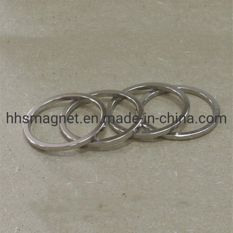 Super Strong Magnets Neodymium Iron Boron Ring Shape, Special for HiFi Device & Audio System