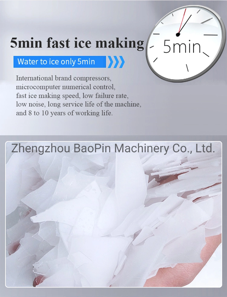 OEM&ODM Commercial Refrigerators Equipment Flake Ice Maker Flake Ice Machine with Storage Bin