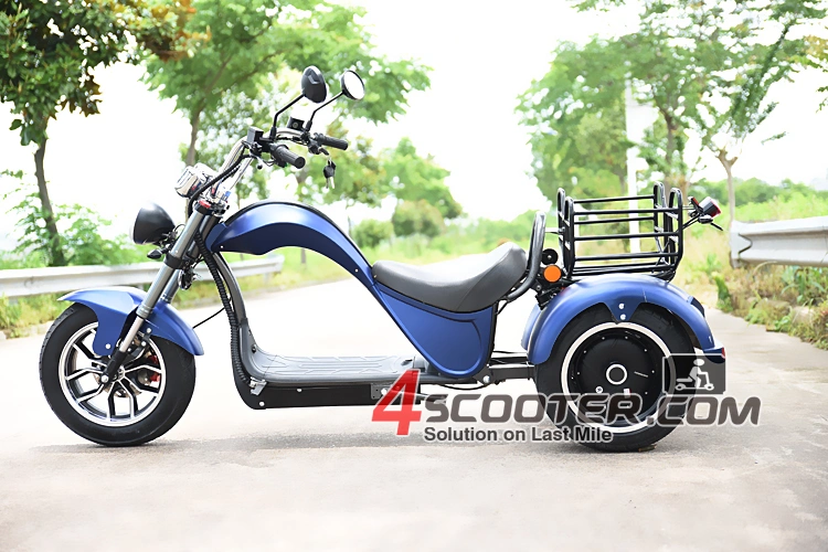 4000W 5000W 6000W EEC Citycoco 3 Three Wheel Electric Motorcycle