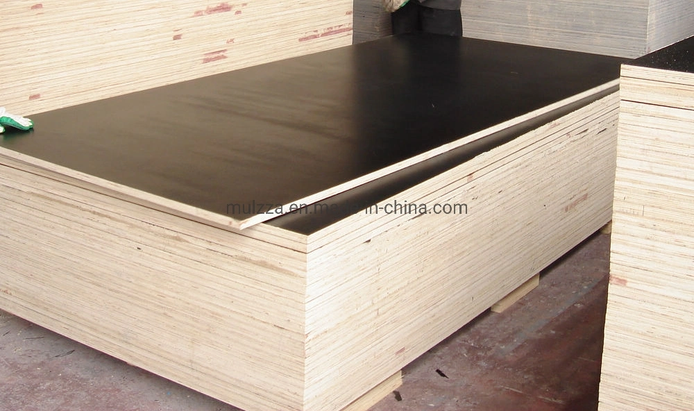 18mm Veneer Plywood Film Faced Plywood