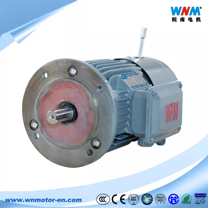 Motor de inducción de 2,2 Kw a 50Hz 5.6A Yvfej 380V-112m-6