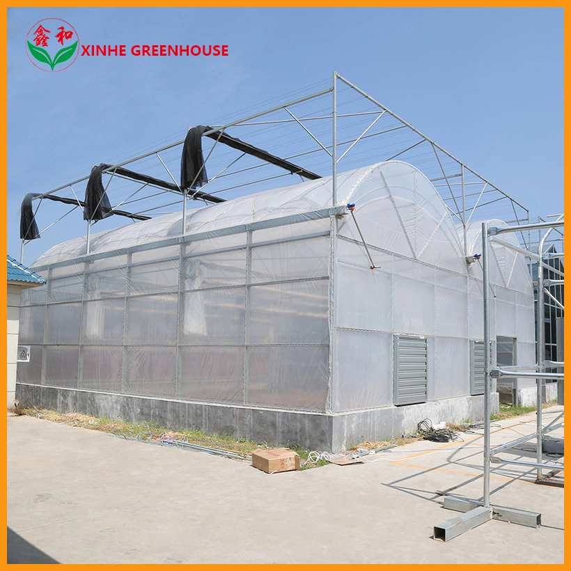 Structural Roofing Xinhe Standard Packing Container Customized Polycarbonate Multi-Span Greenhouse