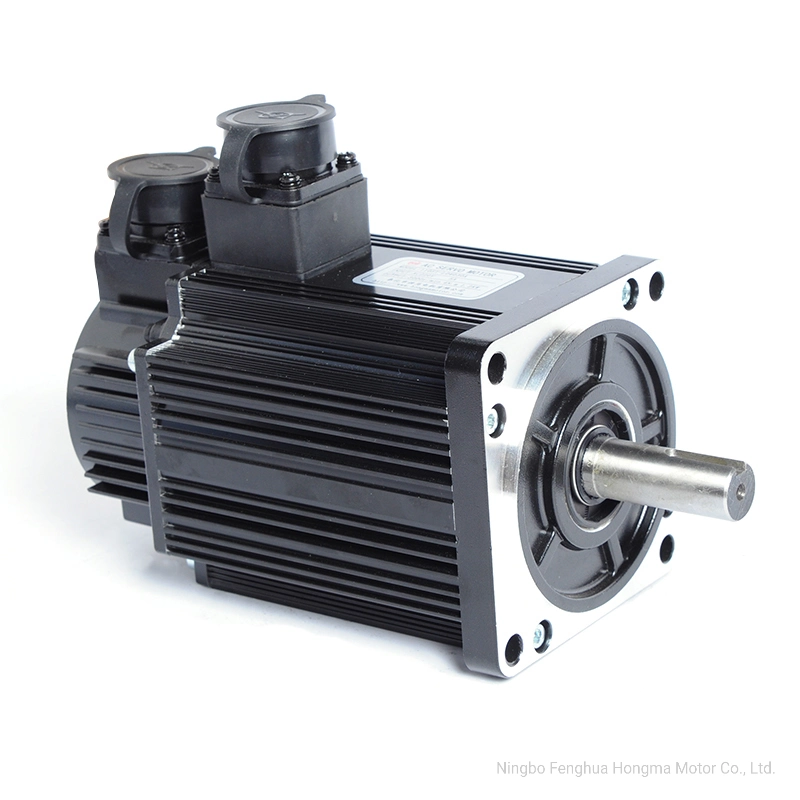 Factory Direct Sale AC Servo Motor (110ST-060020A)