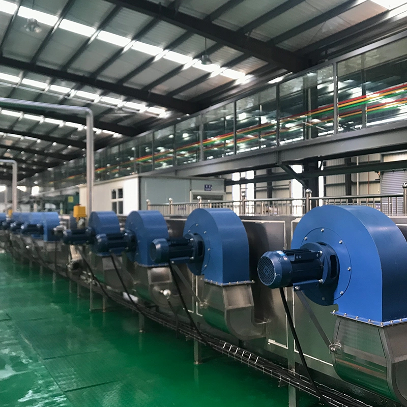 Chinese Suppliers Fruits Vegetable Food Processing Drying Machine