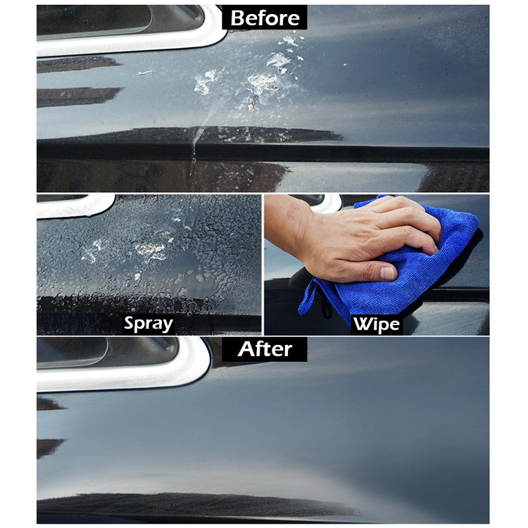 Espuma Washless Car Wash produtos de cuidado de carro de pulverização árida rótulo privado cuidado de carro Premium