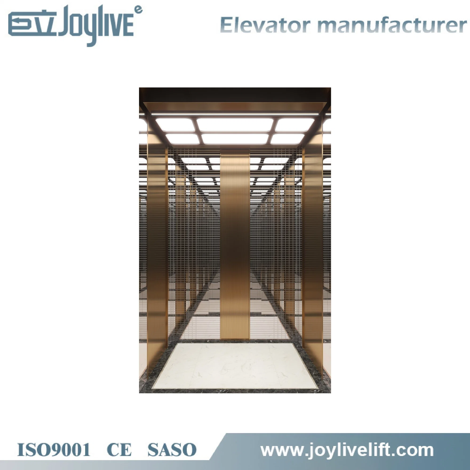 Rml Load 1000 Kg General Customized Passenger Residential Elevator Lift with Cheap Price