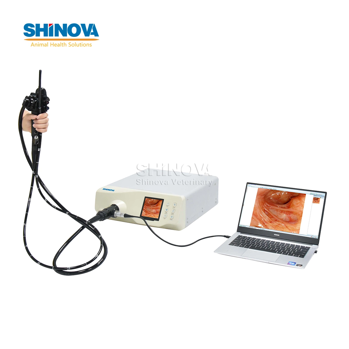 Shinova 8.0mm Diameter 1500mm Working Length High-Definition Flexible Endoscope Veterinary Video Endoscope Veterinary Gastroscope (HiScope 80) Four Direction