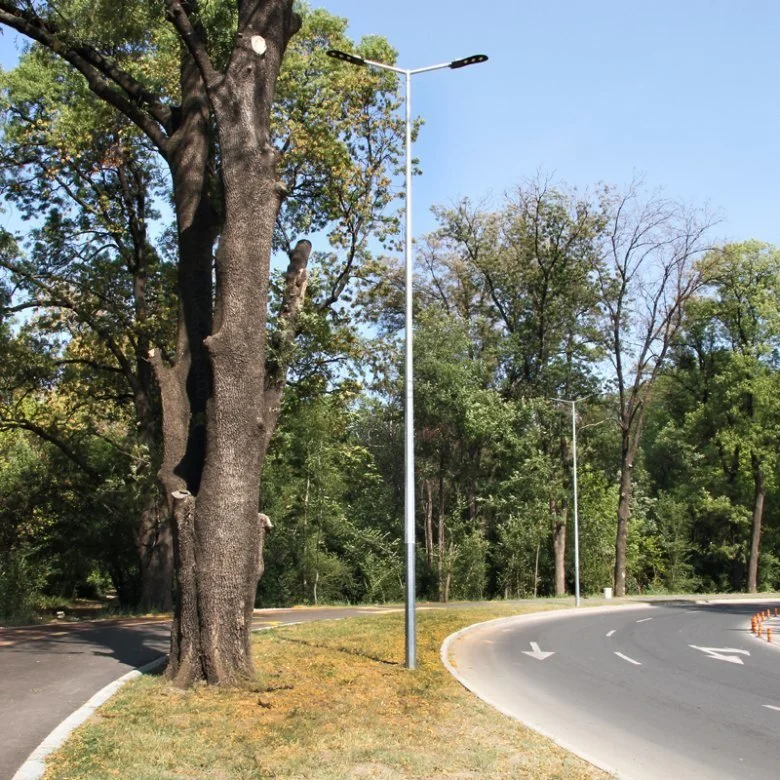 poste de aço galvanizado (DG-12)