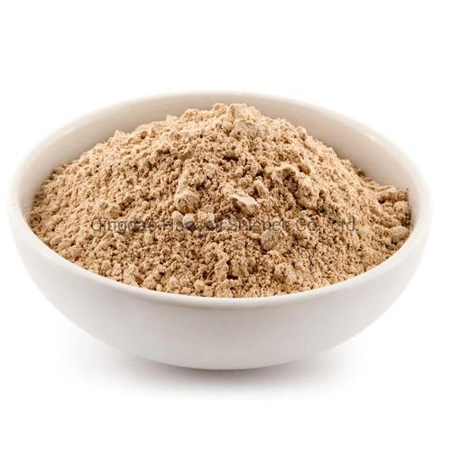 Vegan Protein Poudre de protéine biologique Poudre de protéine de riz