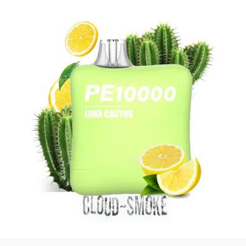 Gran humo desechable VAPE Elf Bar Popular VAPE 10000 Puffs 18 ml jugo de jugo de jugo con existencias en Europa almacén vs Randm Tornado 10000