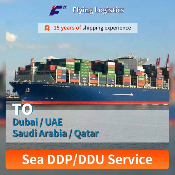 Sea Freight China to Dubai/UAE/Saudi Arabia/Qatar with DDP/DDU Professional Cheapest Fast Freight