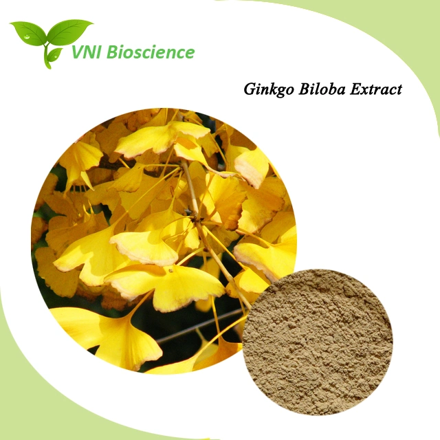 Extracto de Ginkgo Biloba 100% Narural certificado por ISO