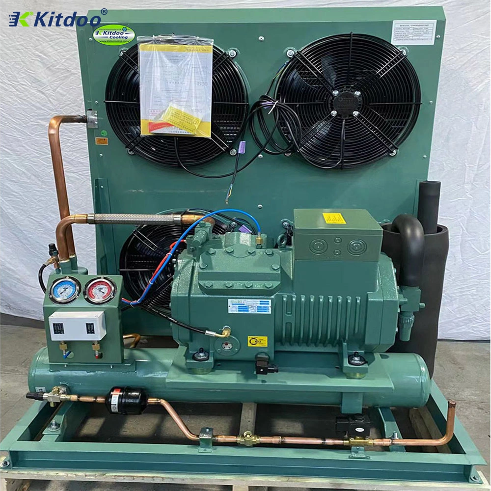 Bitze Kühlkompressor 25HP 20HP 30HP 15HP 12HP 10HP Tiefkühlschrank Industrielle Verflüssigungssätze Für Kühlräume