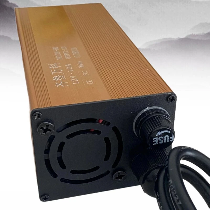 12.6V-8A Customized Lithium Ion LiFePO4 Battery Charger