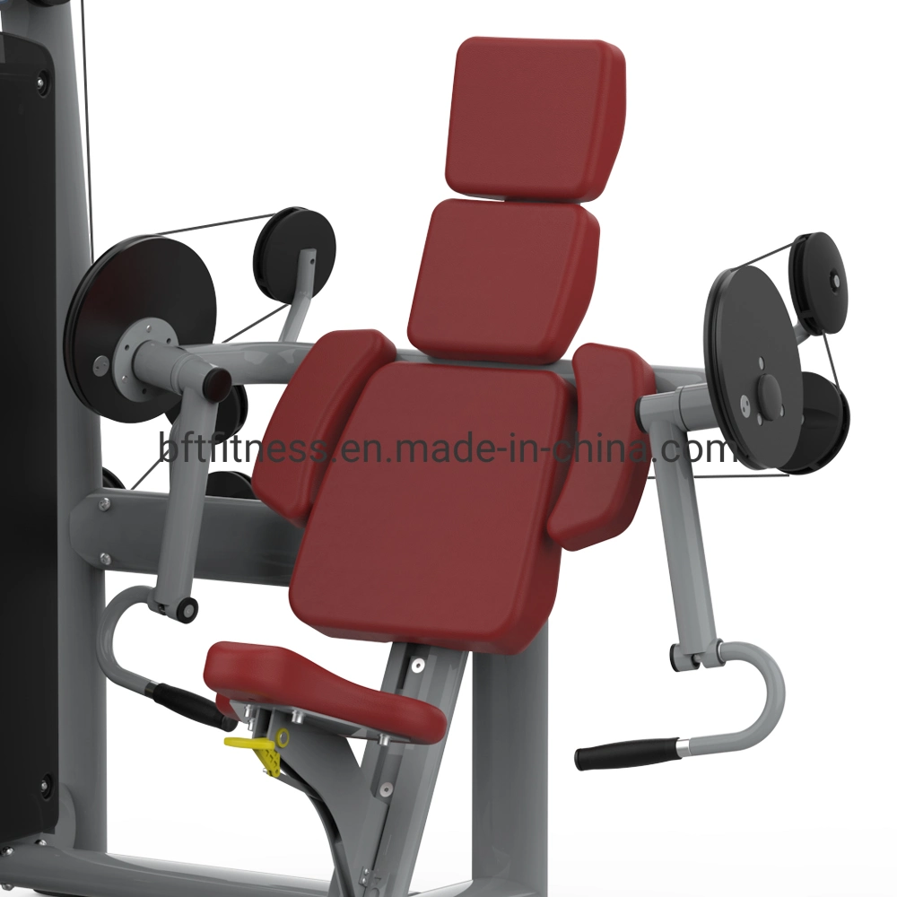 Commercial Gym Equipment for Sale, Fitness Manufacture in China, Sports Goods Bft-2003